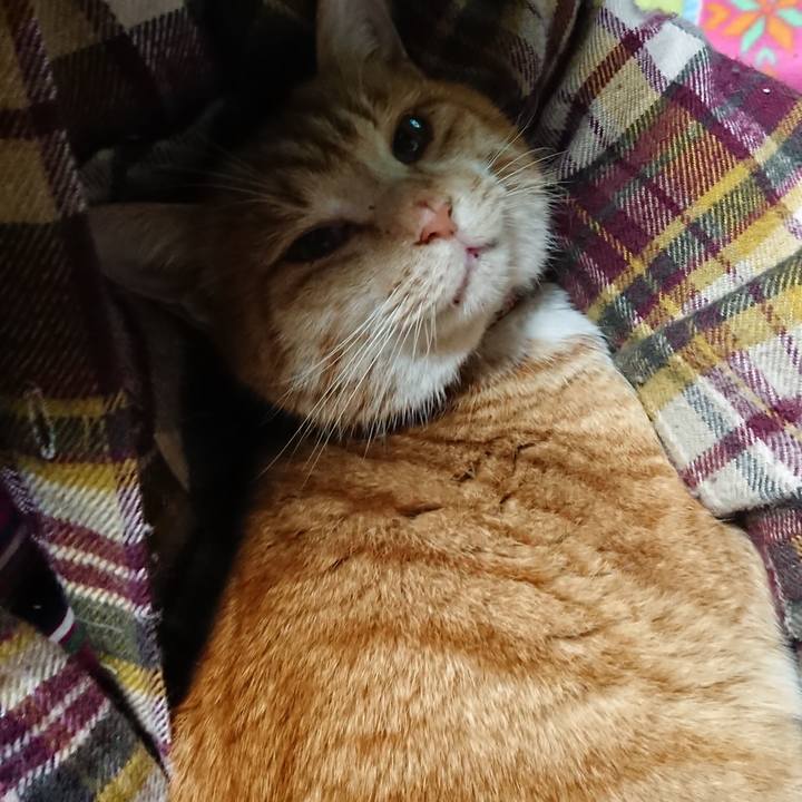 A1393930 2d57 4332 9df7 86e18a9cab98 1577656907870