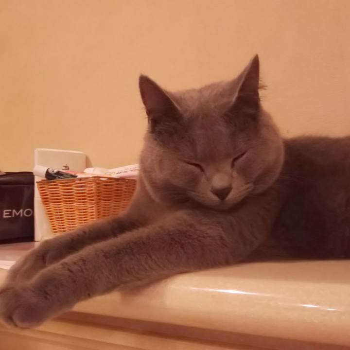 A1395aa4 61e1 432f b880 4df5ac88f1e9 1539214994701