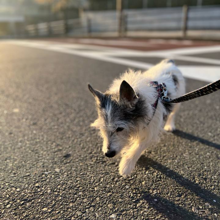 A1395e46 02ff 4cec a764 a2ccb657a135 1649505882237