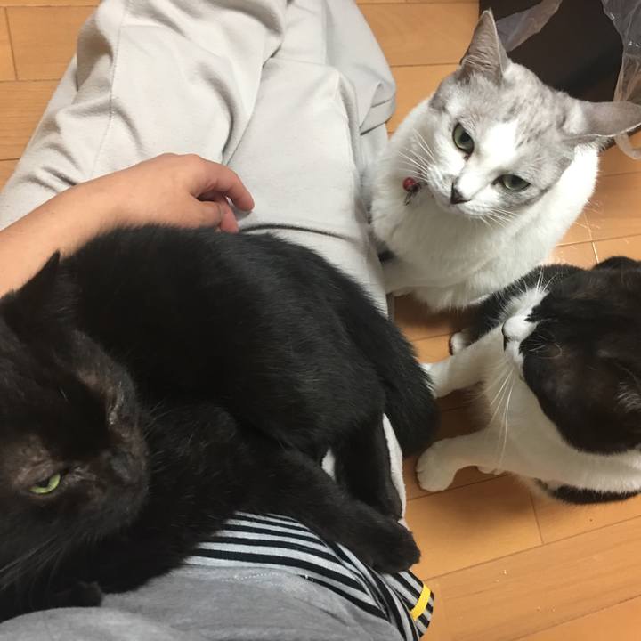 A13968be 3213 4656 b51b 3bf0322e010c 1508116560546