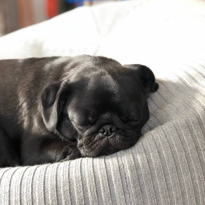 A139a465 25d5 4a2d 8548 0422027d2f4f 1612867315068