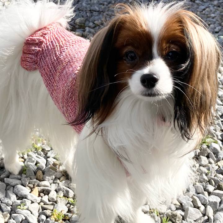 A139e545 14f8 411e a232 382af45ddc8d 1634872898948