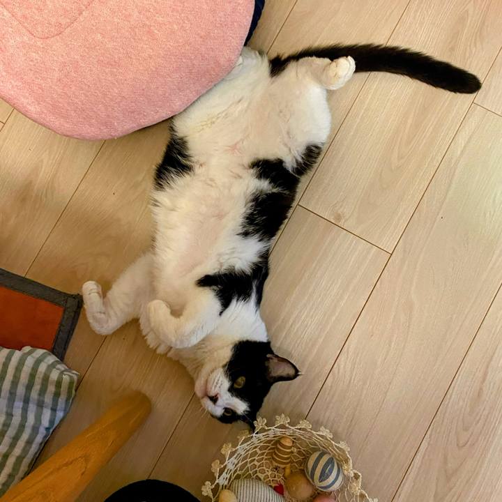 A13a0388 db61 4947 b45f 2abb62ca3e51 1773314449800