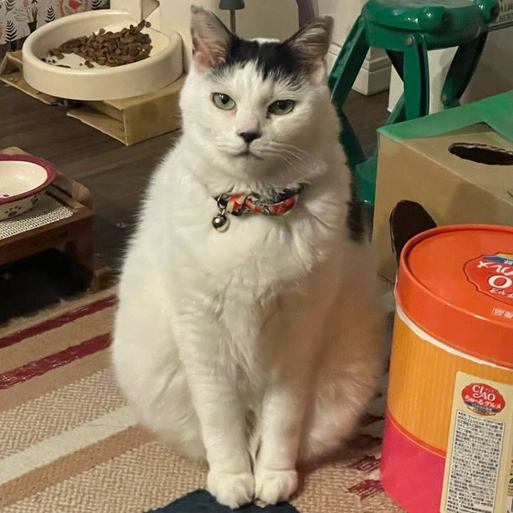 A13a0f6a ae1d 4f6e 9904 e2ab781a30d1 1732959392878