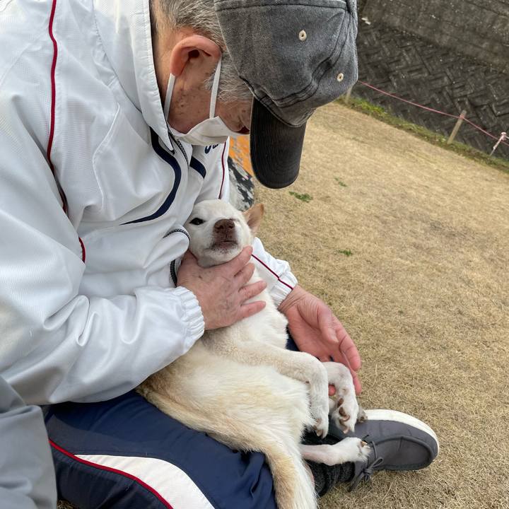 A13a1ed2 2ca8 482c a557 7628c25cb26e 1677154367999