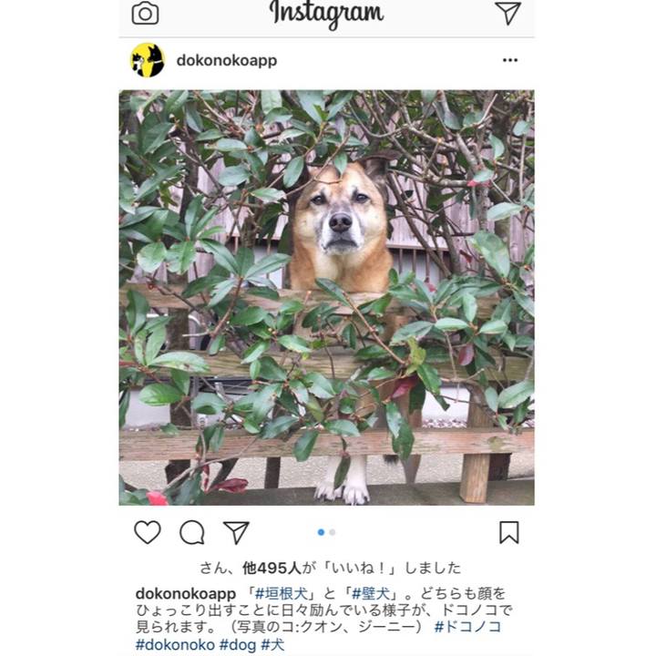 A13a4adc d534 4fbe 83ad 687c5b7f6ffa 1513068305535