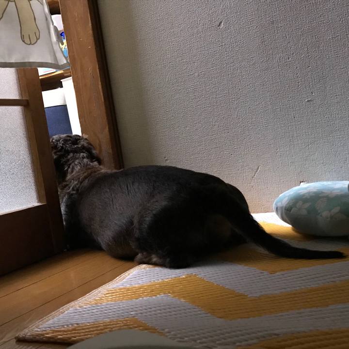 A13a75ed d9a9 4916 bc1e 92c87b453ec9 1529770542571