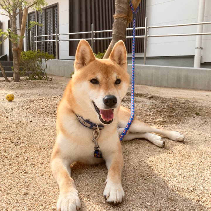 A13ab0d9 5866 4702 900e d53d85be0ee4 1686911955093