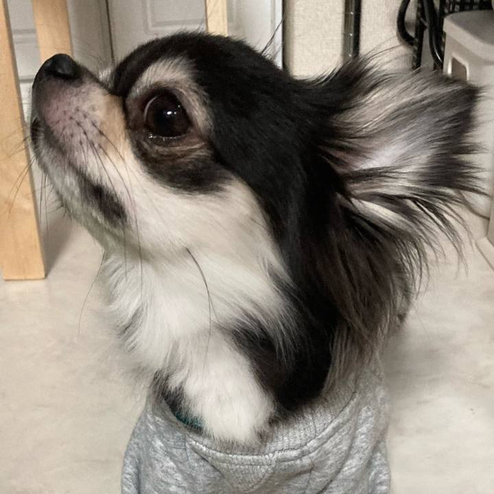 A13abf19 39df 4815 a2ef c001a0cd6c57 1638623892555