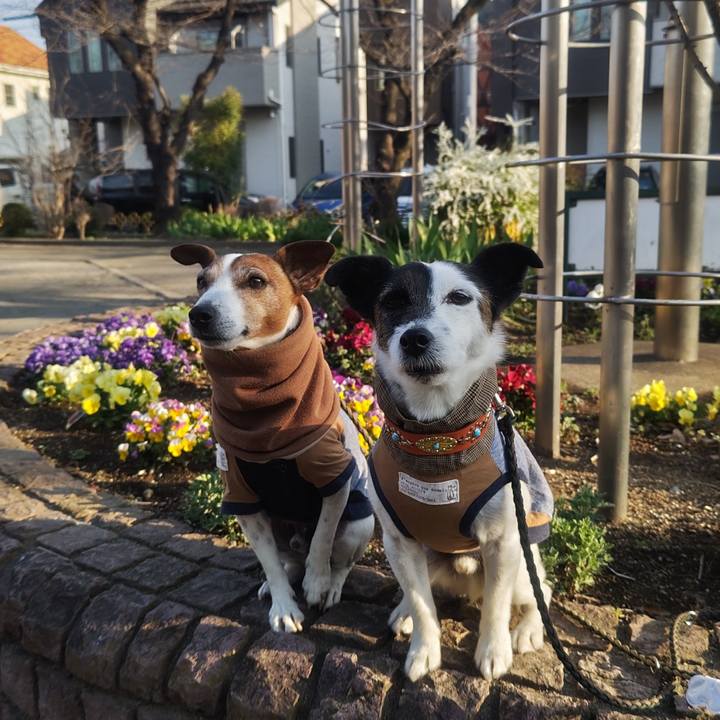 A13ac719 a1dc 4589 af81 fb43aaf188d1 1774047173782