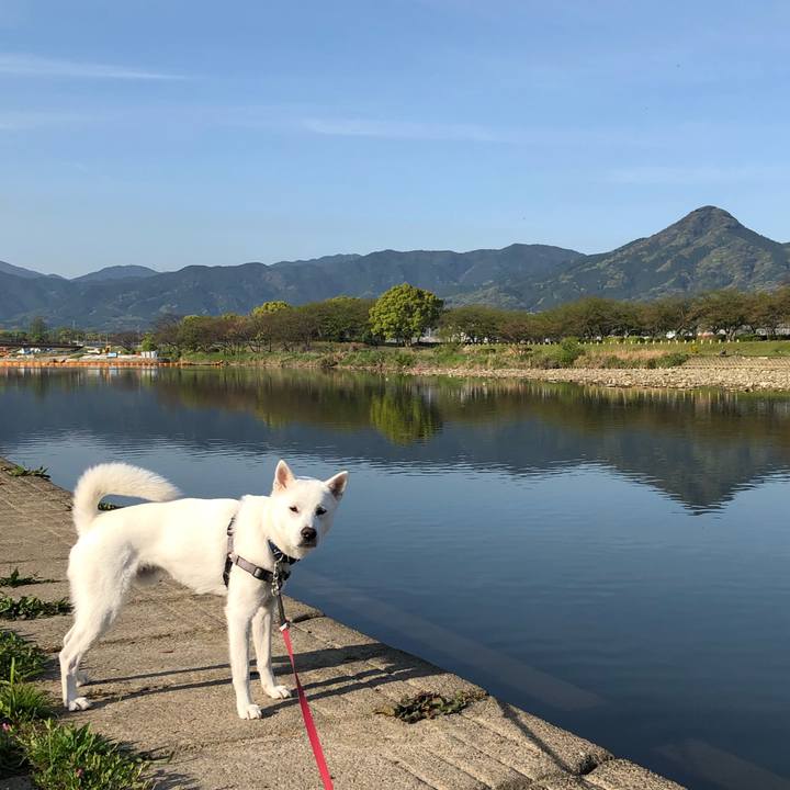 A13b1fbe 3b60 4288 8c63 8e9a0ca4247f 1555545222699