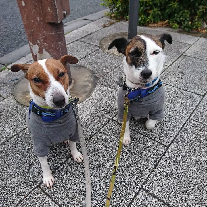 A13b2545 b01f 405a a062 dffae3a5f9dd 1579735700803