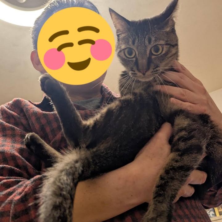 A13b259a 5eda 4c92 9298 fed5eef2b63e 1738209668861