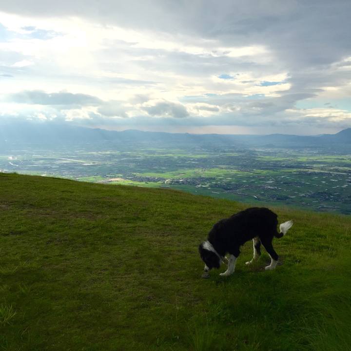 A13b7ea5 345a 44a2 896e 3cbc593ba5ed 1532951703478