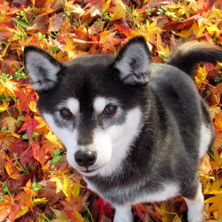 A13b8a47 7d3e 48f7 ab59 bf16c11779d2 1607656820936