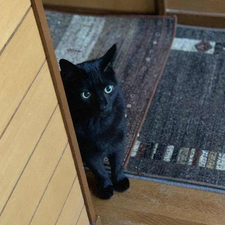 A13b99d7 fdf5 4a89 82a1 e10574362a97 1539135597802