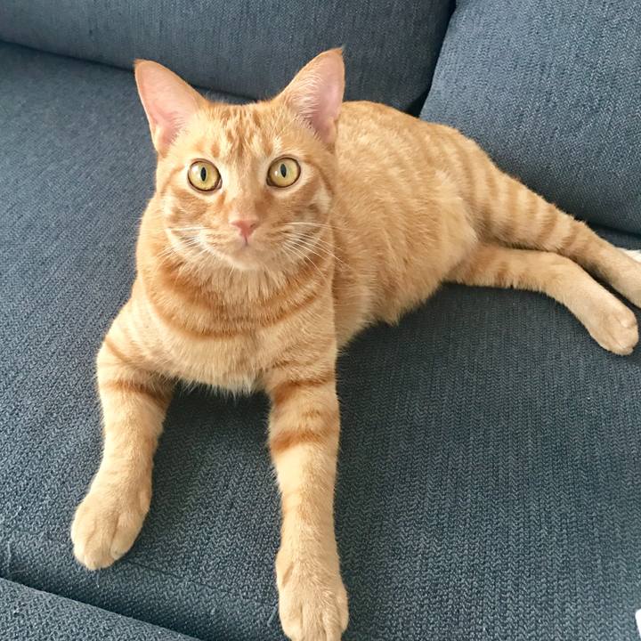 A13bb3f4 4b5a 48ed 9c58 c10218cb4482 1597492574073