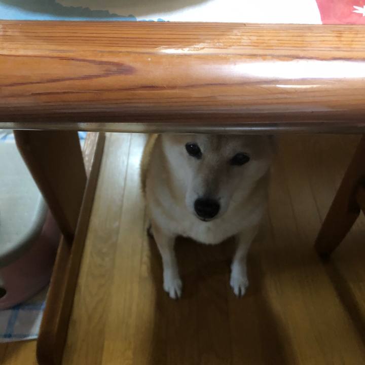 A13bcac5 b952 4ae3 8eb6 b390fd31d1b1 1607583812698