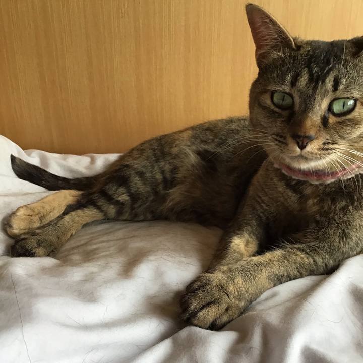 A13c2880 2d80 4137 a54a dcdcd64eee4a 1624683255623