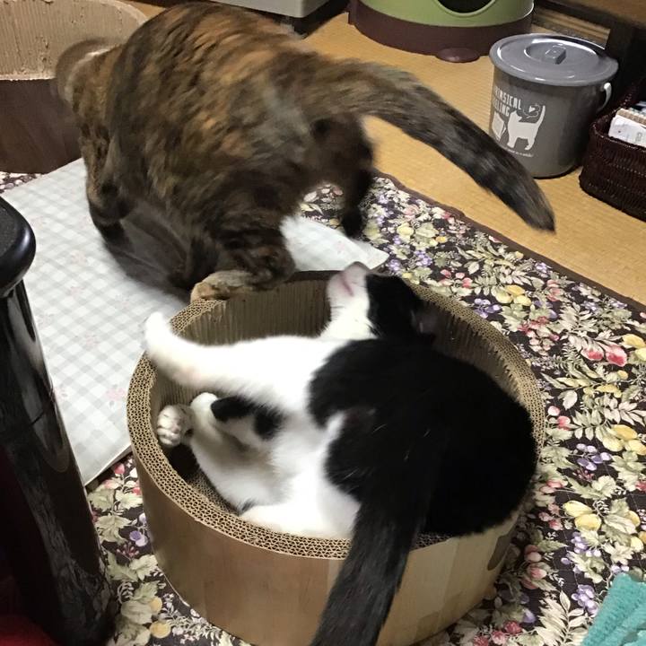 A13c2e04 572d 4b90 bc7a 860aef3b9751 1718957979568