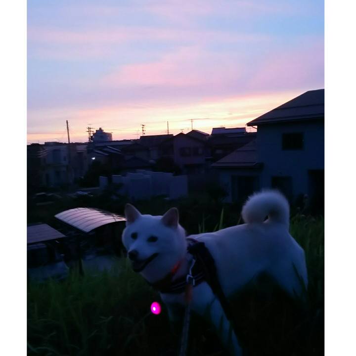 A13c5af6 0ed9 4920 9762 c07d86420964 1564484863406