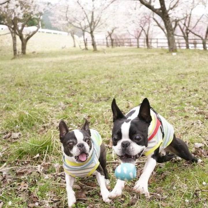 A13c5f73 4cba 46e0 8324 806ec79e3129 1523000873522