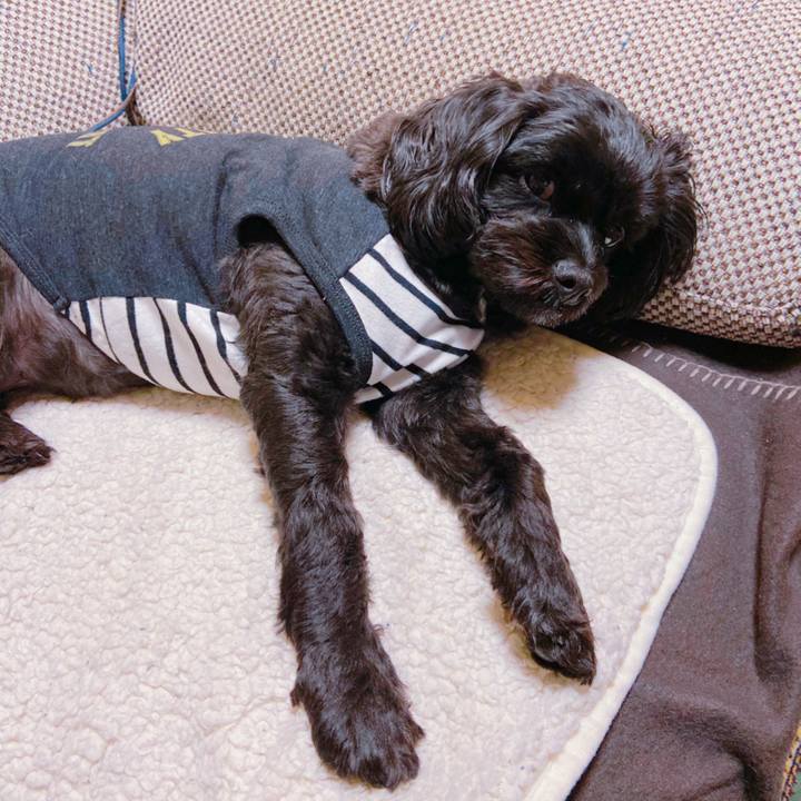 A13c8e21 1479 4e98 848a 55052c0c3773 1571230500081