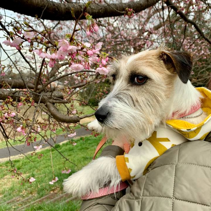 A13caba8 7435 46b3 b7db 49236056d7f5 1647680170224