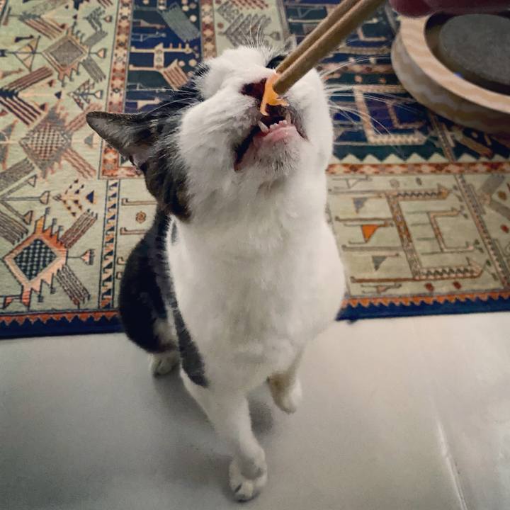 A13ce355 97d9 4163 b99c b40433476a1f 1604822880118