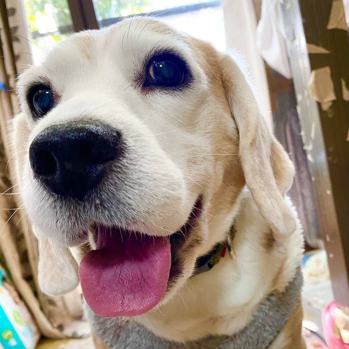 A13cf2ba 9ce4 4d2e 9cef 7364809d683e 1640753643876