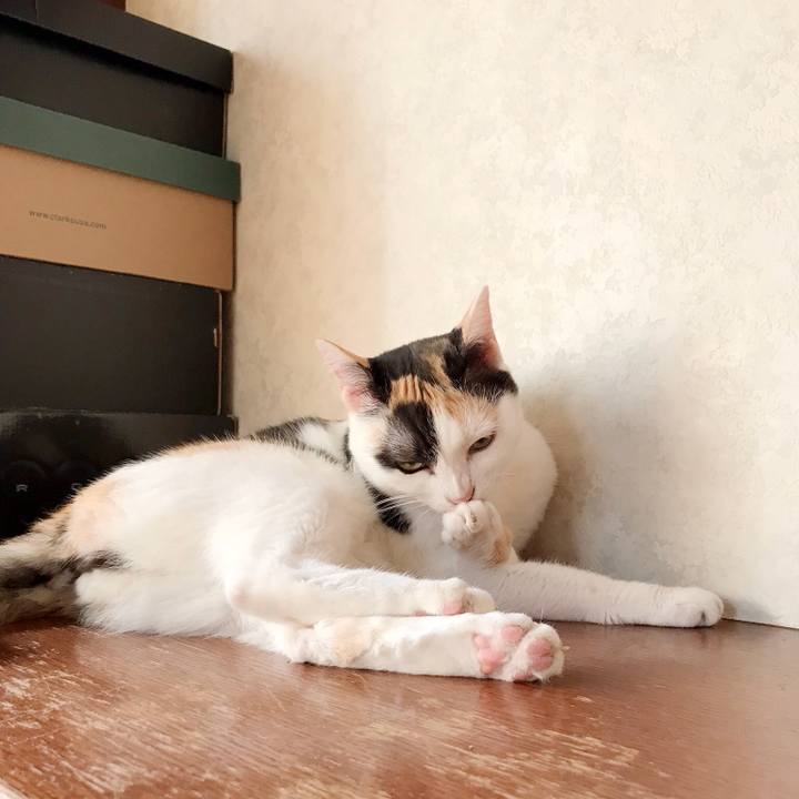 A13cfbd9 6a7a 4bbe b721 0ee1ccc6c489 1536590726027