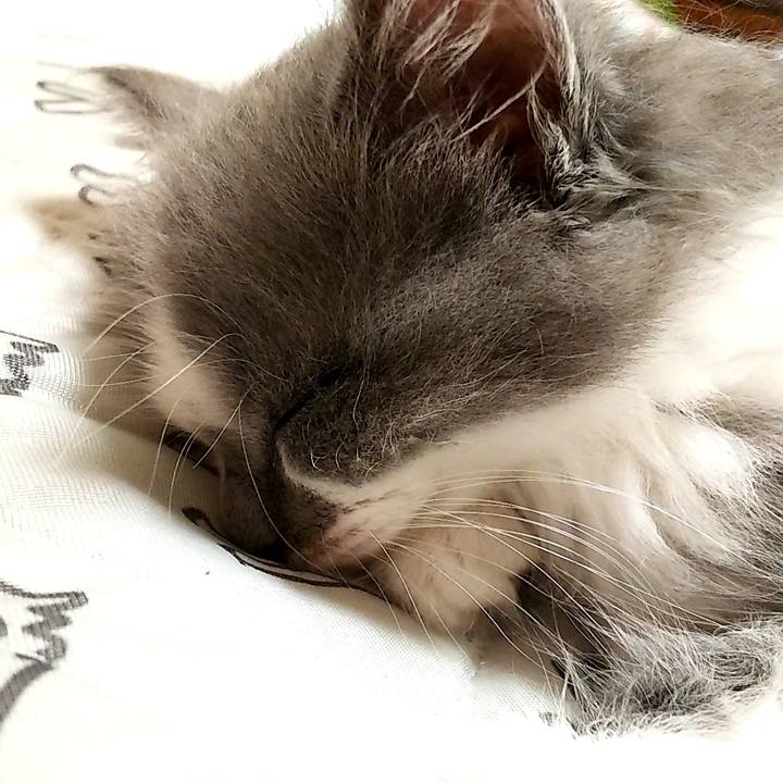 A13d2217 3672 4cd2 ad59 6898323830ac 1559901224227