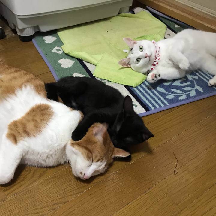 A13d27e1 fce3 401e a9b0 1bafd758da11 1564717267561