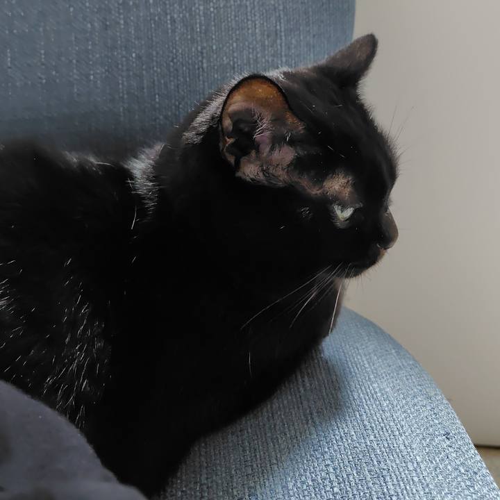 A13d399e e9a7 47ef 97de b06785514028 1761045470591