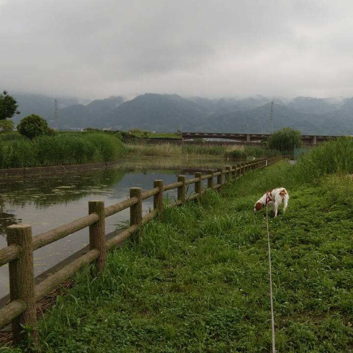 A13d5dc3 49d7 45d7 ba21 91c11f9ac4fd 1527756941128