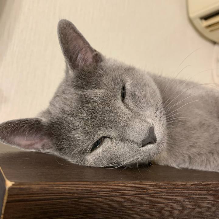 A13dad6d d843 4a23 8081 dd1029c5233e 1579208883577