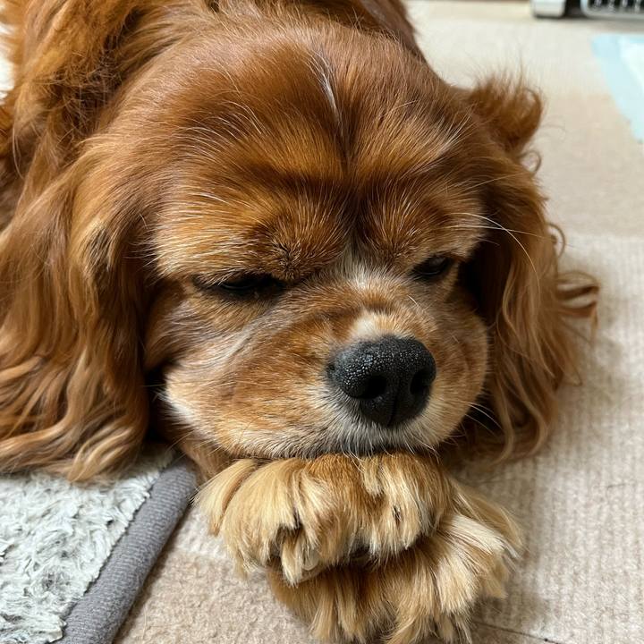 A13db31c 75fa 4995 9e61 ec892770aaad 1699396662257