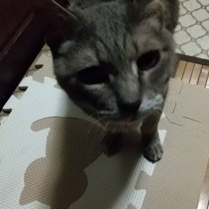 A13dbe03 51bc 402b 9d2b c348fd385287 1697103329412