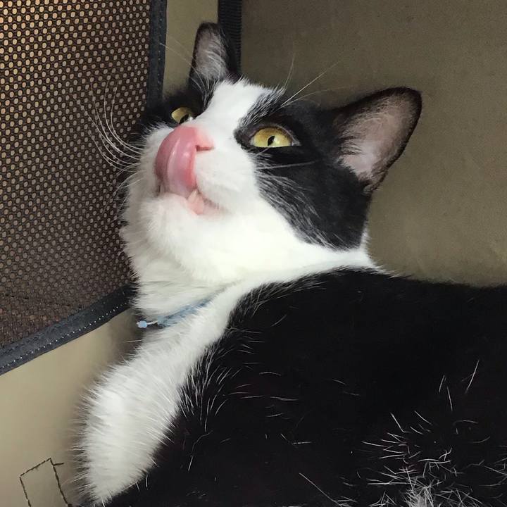 A13e03fe ebe8 468a a7e0 933c6016a325 1719305897462