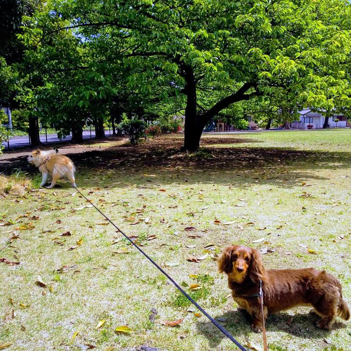 A13e14cd d1a2 4b8f 9255 004ff355cf6f 1556420263809