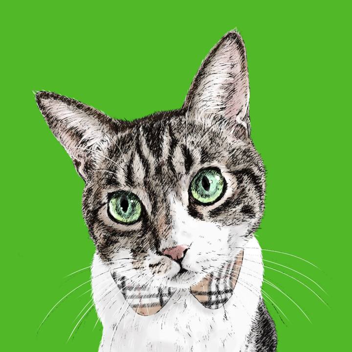 A13e3840 f9a6 4cdc b264 ed80d962e510 1614348533273