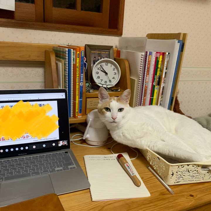 A13e4ae9 879e 4e5f 8d44 020b6e5352ec 1646477681074