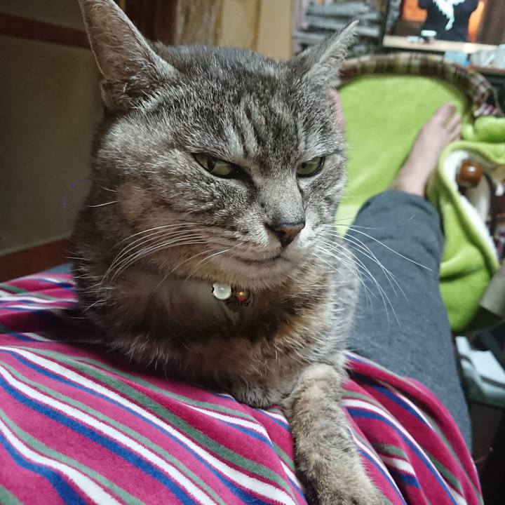 A13e4b73 d22f 4151 a8c0 95bb6b209d81 1582287014039