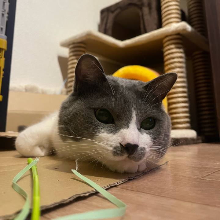 A13e5f45 6ed6 4346 aa99 4e4289af8c6a 1702630692106