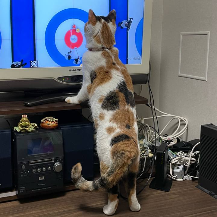 A13e6001 d3ce 412c 9d8d 66664d5d0ef7 1644843785589