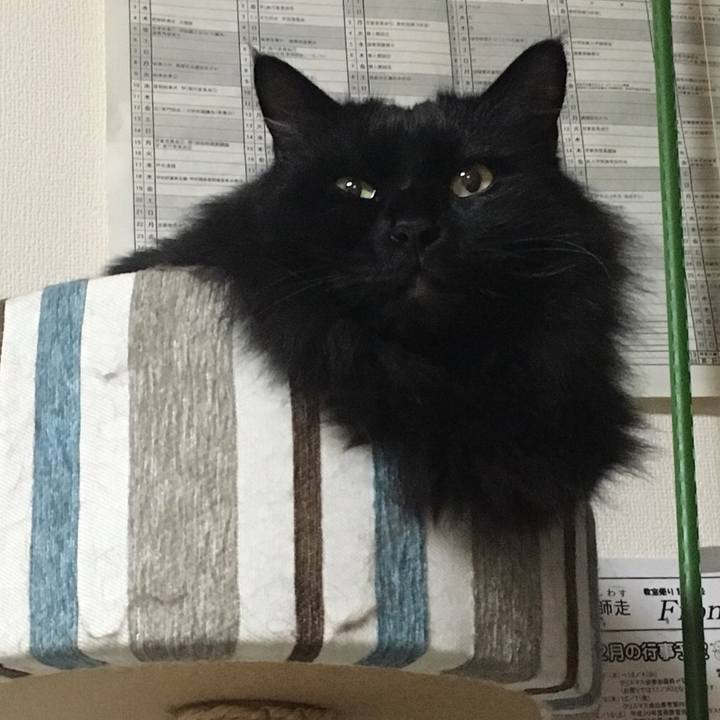 A13eae3e 3b51 432d ac67 0a676f26f376 1544190873753