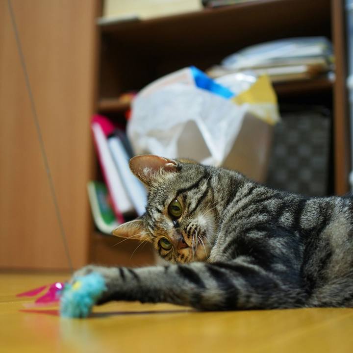 A13eb234 f10a 4d45 b572 6f226caac20e 1535687289467