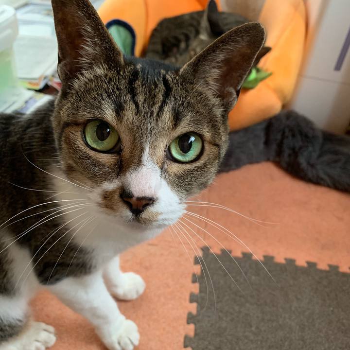 A13eb86a 287d 4db2 98e8 ed7e1cceba04 1560647153326