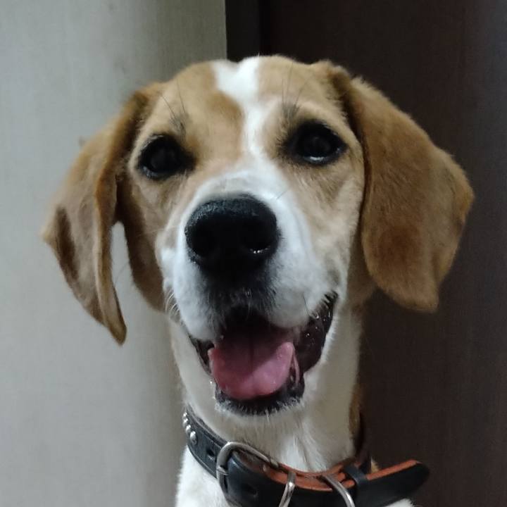 A13f245d 50bf 4768 b060 37c7aafffea7 1657963694612