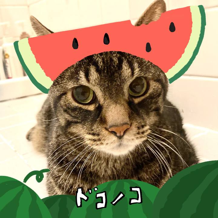 A13f629b 62eb 4a31 904b 3dd4c865d617 1720843648965